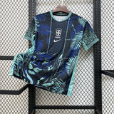 Brazil 2025/26 Special Edition Jersey